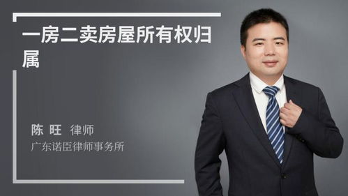 法律咨询与专业律师服务 陈旺律师｜广东诺臣律师事务所